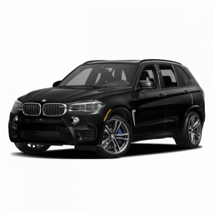 Выкуп битых запчастей BMW BMW X5 M