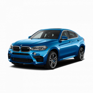 Выкуп битых запчастей BMW BMW X6 M