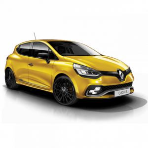 Выкуп кузова Renault Renault Clio RS