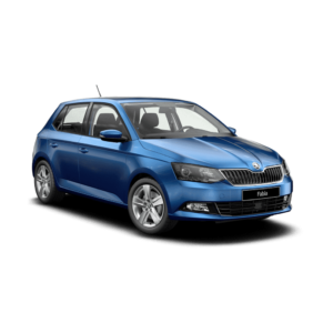 Выкуп неликвидных запчастей Skoda Skoda Fabia