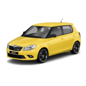 Выкуп неликвидных запчастей Skoda Skoda Fabia RS