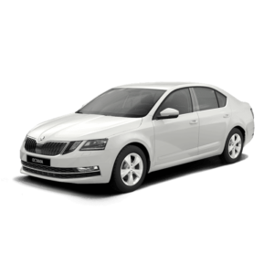 Выкуп неликвидных запчастей Skoda Skoda Octavia