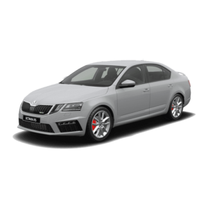 Выкуп неликвидных запчастей Skoda Skoda Octavia RS