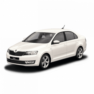 Выкуп неликвидных запчастей Skoda Skoda Rapid